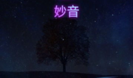 妙音短视频,捕捉瞬间，传递美好