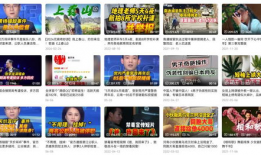 新闻 短视频,短视频揭示城市绿化新趋势